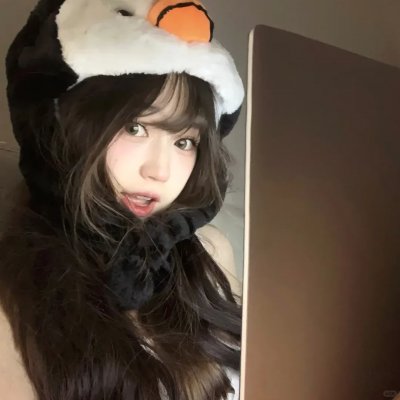 功夫兔与菜包狗第一季